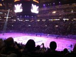 hockey-seat