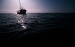 Lonely_Yacht_Wallpaper_1440x900_6909