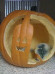 My Wine Bottle and Wine Glass pumpkin...Carving sucks!!